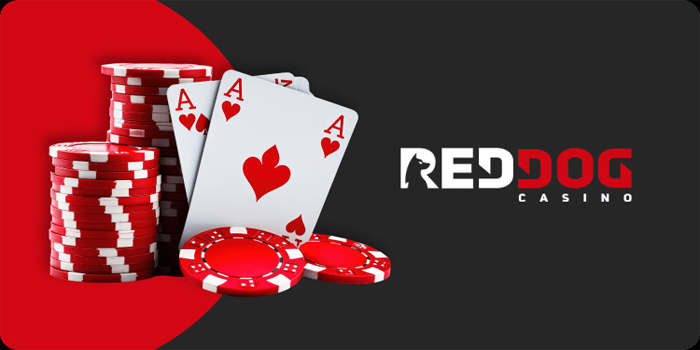 Cara Jitu Agar Menang Casino Red Dog